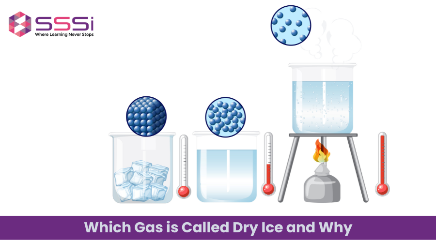Which Gas is Called Dry Ice and Why? A Complete Explanation